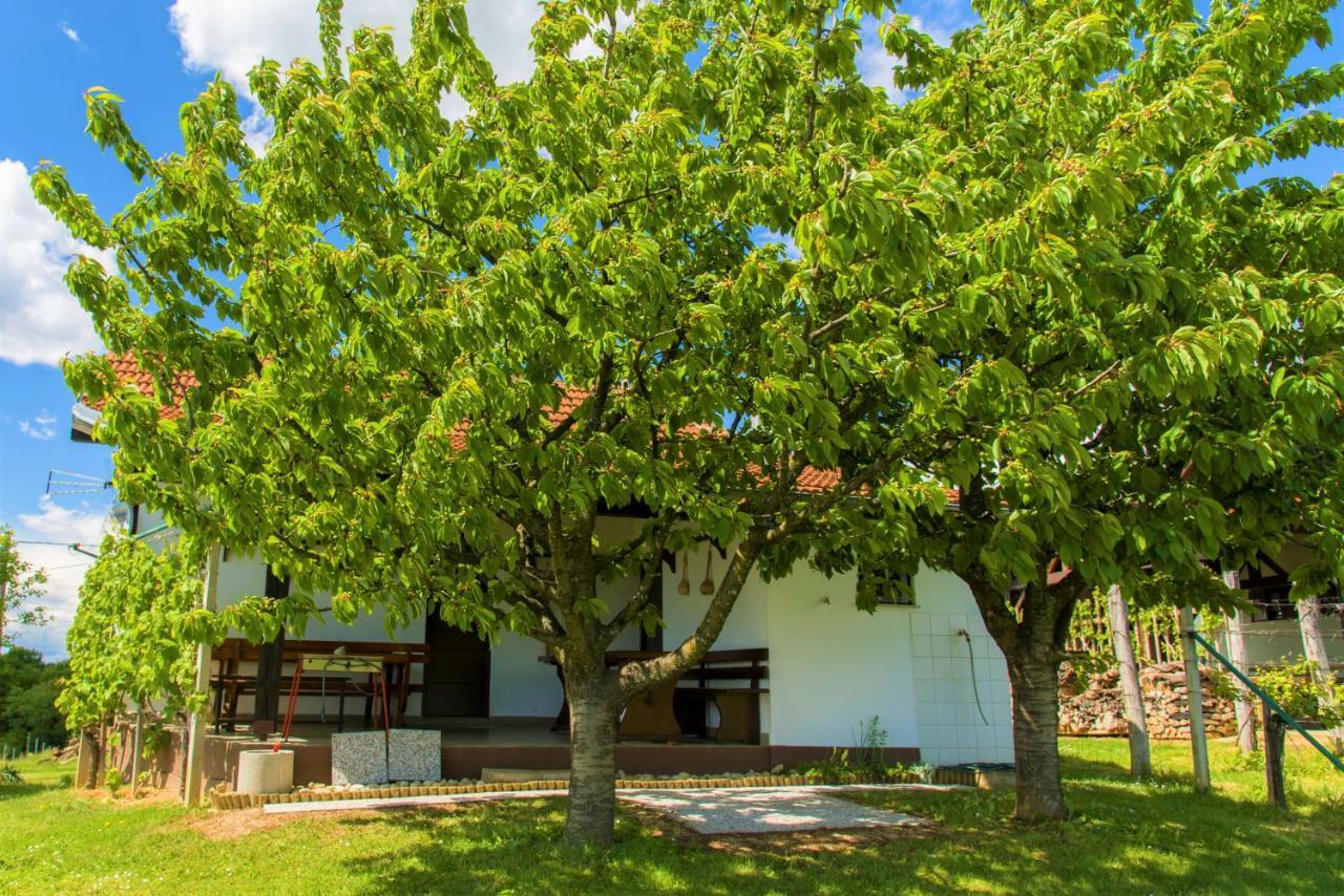 Zidanica Balantic Villa Dobronak Kültér fotó